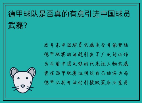 德甲球队是否真的有意引进中国球员武磊？